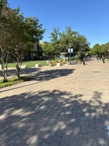 Campus area at UTA