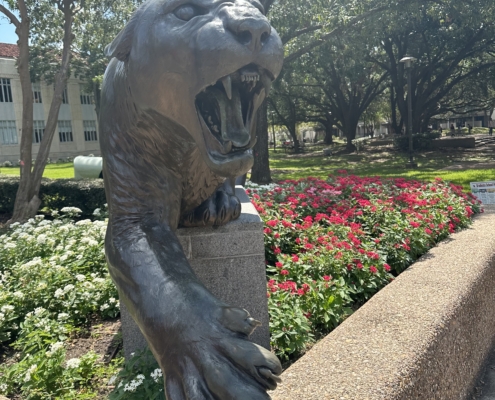 Cougar mascot statue on the campus of the University of Houston