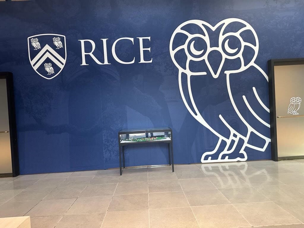 Rice-Owl