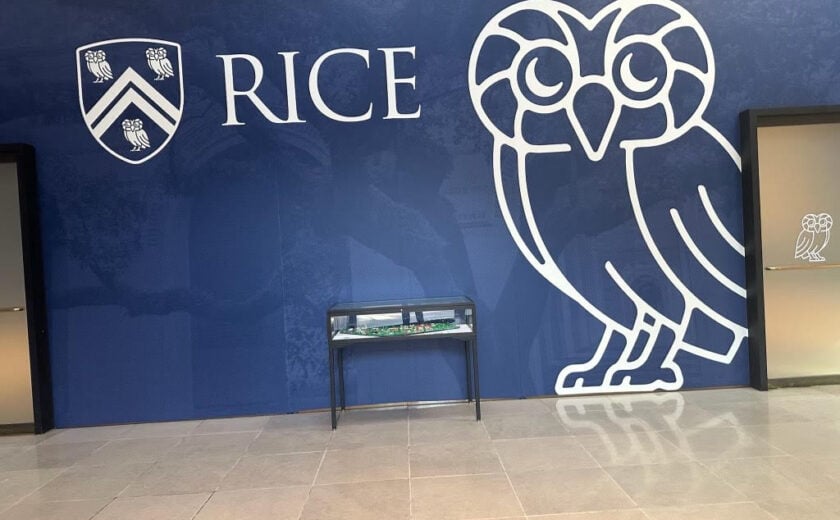 Rice-Owl