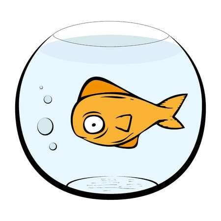 fish-bowl