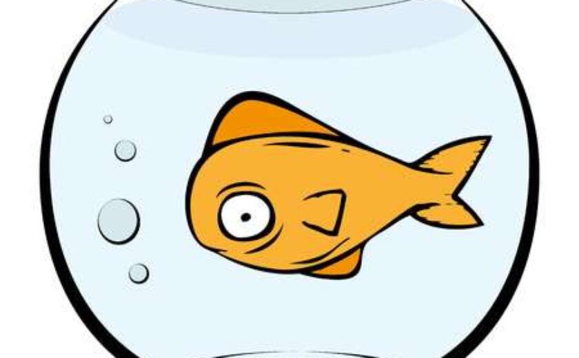 fish-bowl